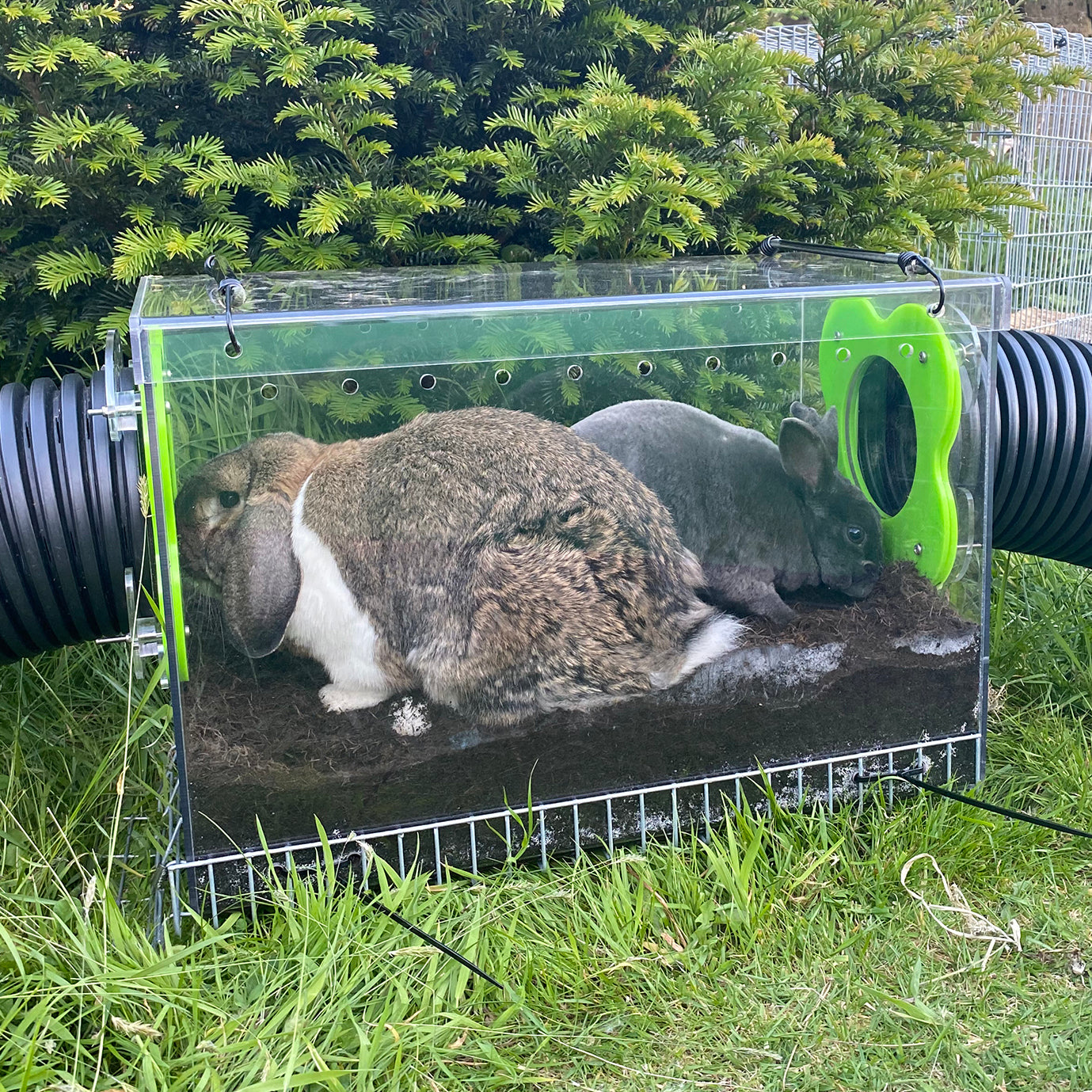 Outdoor rabbit digging on sale box