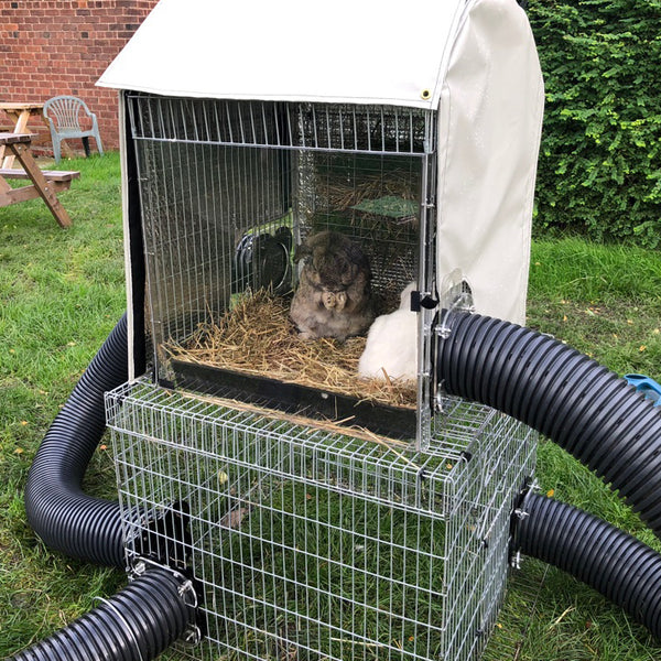 Rabbit Housing Runaround Rabbit and Guinea Pig Runs