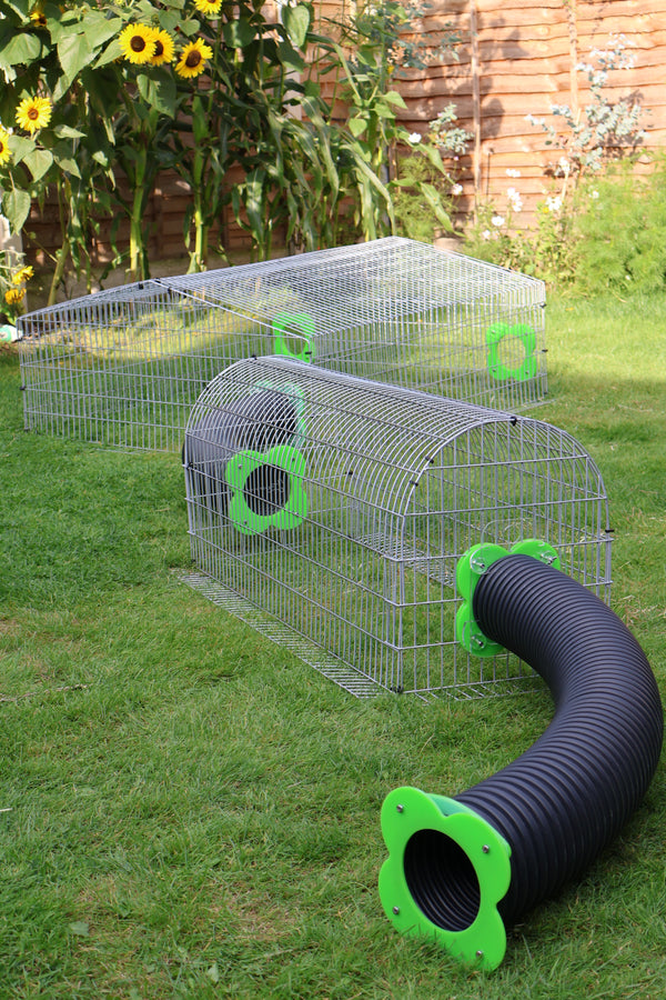 Guinea pig shop garden run