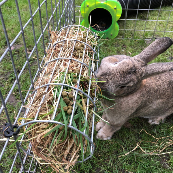 Hay Tube – Runaround: Rabbit and Guinea Pig Runs