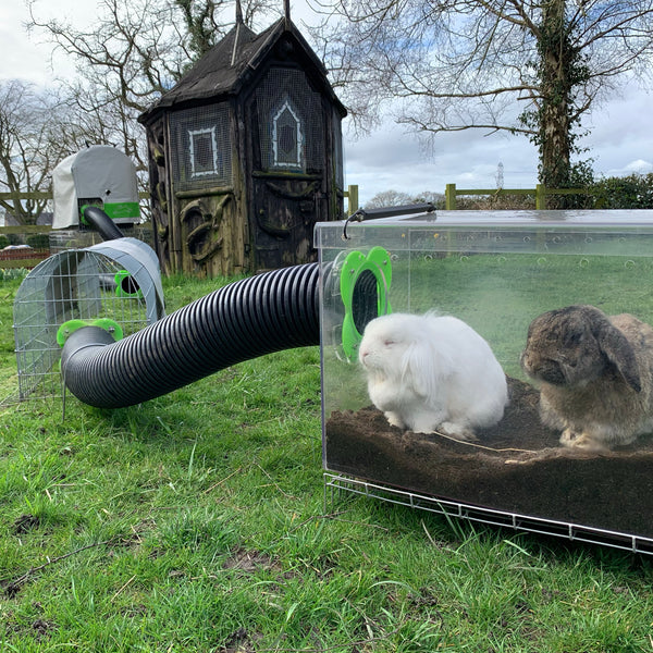 Indoor rabbit hotsell digging box